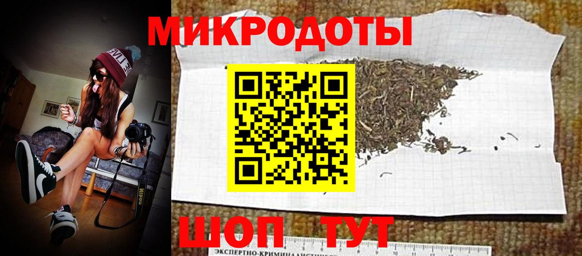 что такое   Вход с VPN  Шебекино  Псилоцибиновые грибы мицелий 